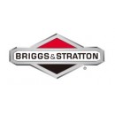 Логотип Briggs & Stratton